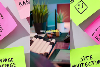 manage insta, fb , linkedin , x plus high retention content