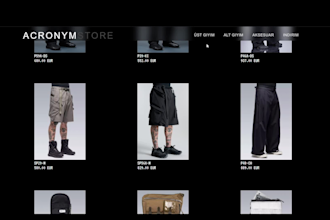 develop a modern and responsive front end website