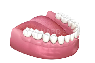 do 3d dental animation 3d dental implant animation 3d orthodontic video