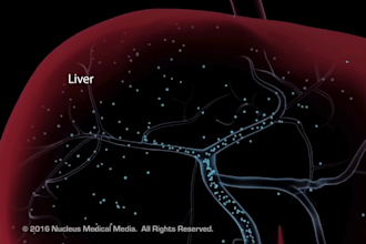 create 3d pharmaceutical animation drug mechanism of action video