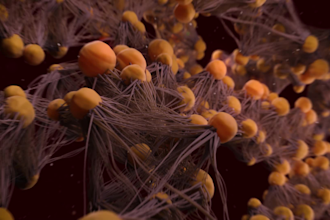 create 3d medical animation and medical product videos