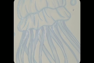 create detailed hand drawn sketch art for you