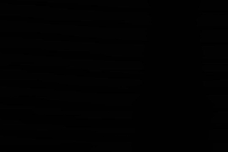 provide professional bengali writing services