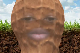 create 3d ar vtuber model, snapchat filter style, burnt peanut for streaming
