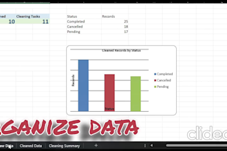 do data entry, data cleaning and spreadsheet formatting