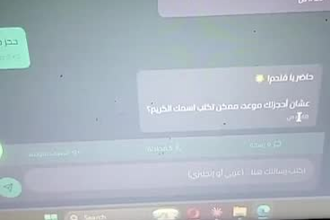 build a custom ai chatbot for your website or business in any language