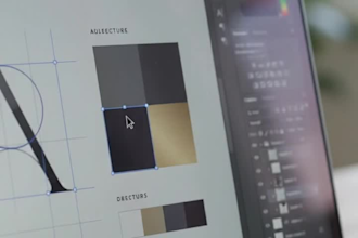 logo professionnel et direct