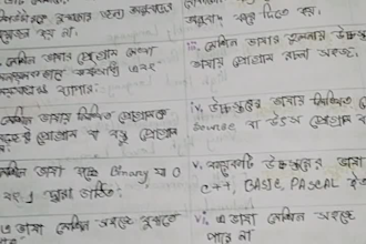 write neatly in english and bengali