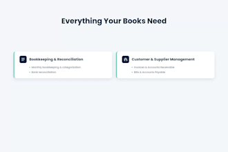 provide professional bookkeeping and accounting services
