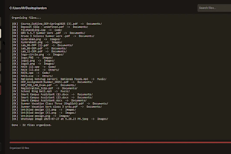 build a custom desktop file organizer or automation tool in python