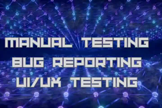 test your website and find bugs professionally