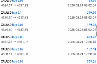 offer profitable forex trading bot, forex bot, forex trading bot, trading