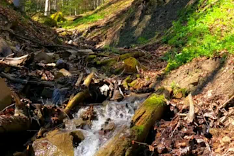 create meditation, relaxing nature music videos for youtube