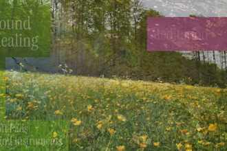 compose original meditation and relaxing music for mindfulness and healing