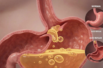 ai medical animation medical explainer videos 3d medical animation anatomy video