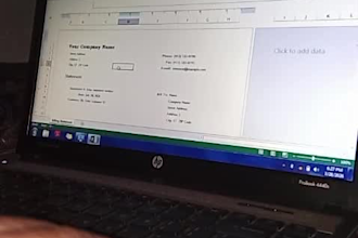 do accurate PDF to excel conversion, data entry and excel tasks