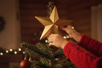 do video ads and christmas greetings, seedance seedance 2 5
