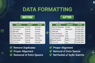 clean, format, merge, split and entry excel data