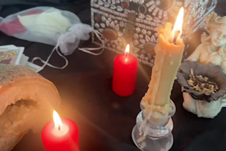 do love tarot reading within 24 hours