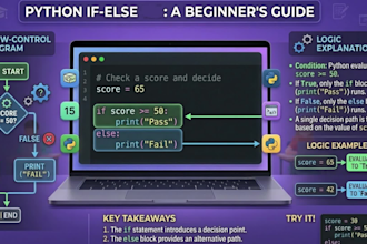 teach python programming from beginners to advanced level