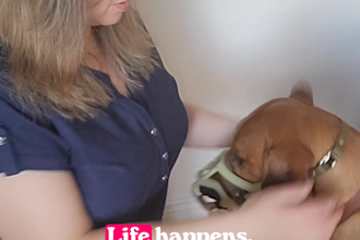 create engaging dog and pet ugc videos for your brand