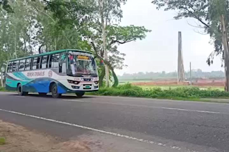 create professional bus videos for your project