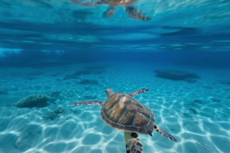 create cinematic ai videos for travel brands