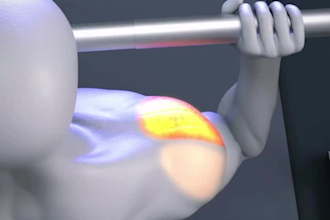 create 3d gym, exercise animation, 3d fitness and workout animation