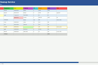 fix, format and organize your excel spreadsheet