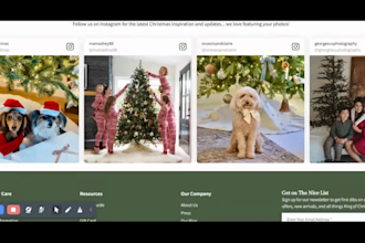 design a christmas shopify store for holiday sales and dropshipping