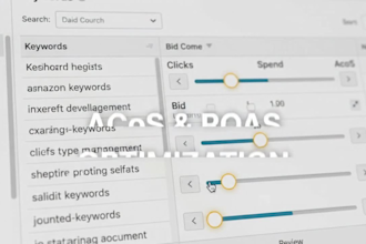 amazon ppc campaign report audit scaling management and acos roas optimization