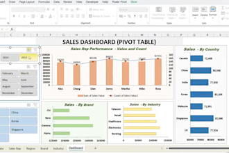 create professional excel dashboards, reports and data analysis