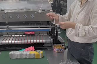 provide preshipment inspection and sourcing services from china
