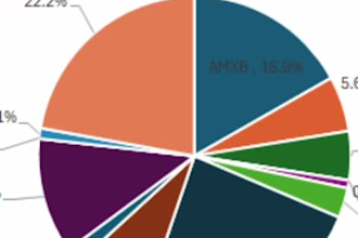 analista de datos y pronostico de la demanda
