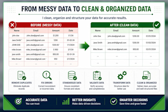 clean, format, and organize excel or CSV data