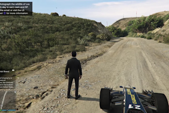mod ur gta 5 account with anything u want