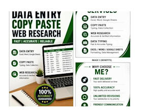 do accurate data entry, copy paste and web reserch work