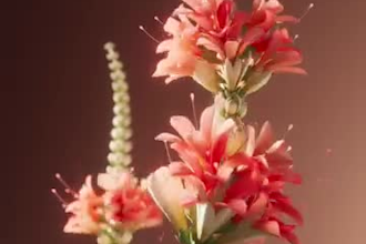 create realistic 3d plant growth render, 3d flower animation, 3d plant modeling