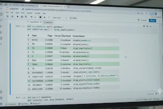 do python data cleaning and data preprocessing using pandas