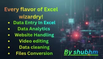 do data entry excel and also handle websites data conversion