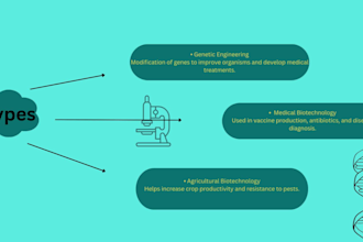 create aesthetic canva and powerpoint presentation