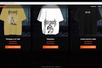 build a professional custom website with clean code