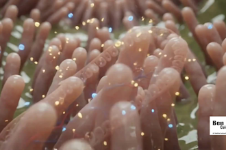 create 3d medical animation, anatomy animation, human digestive system
