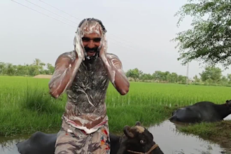 wish happy birthday video or african happy birthday video