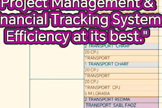 provide professional remote project administration and logistics support