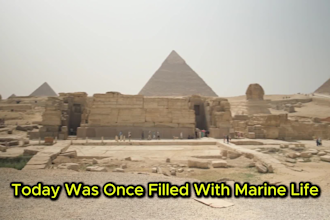 create youtube documentary videos