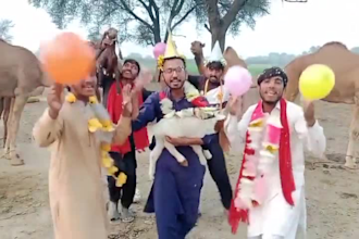 wish happy birthday video or happy birthday video