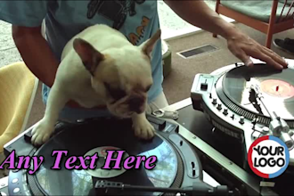 do this funny dj dog playing  video ad
