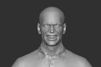 rig and model 3d character model for iclone 8, cc4, cc5, retopology
