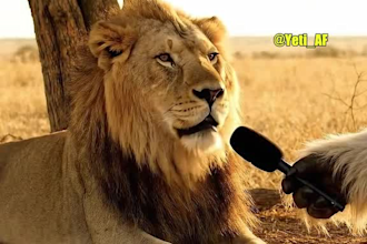 create funny ai talking animal videos for social media